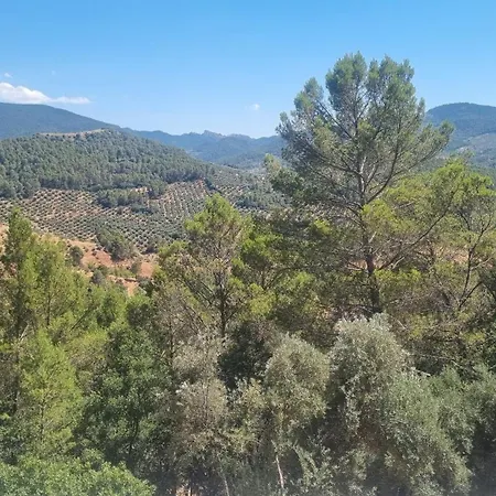 Cortijo Castillo De Penafleita * Siles